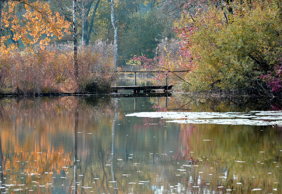 Weiher im Herbst *3*