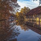 Weiher im Herbst