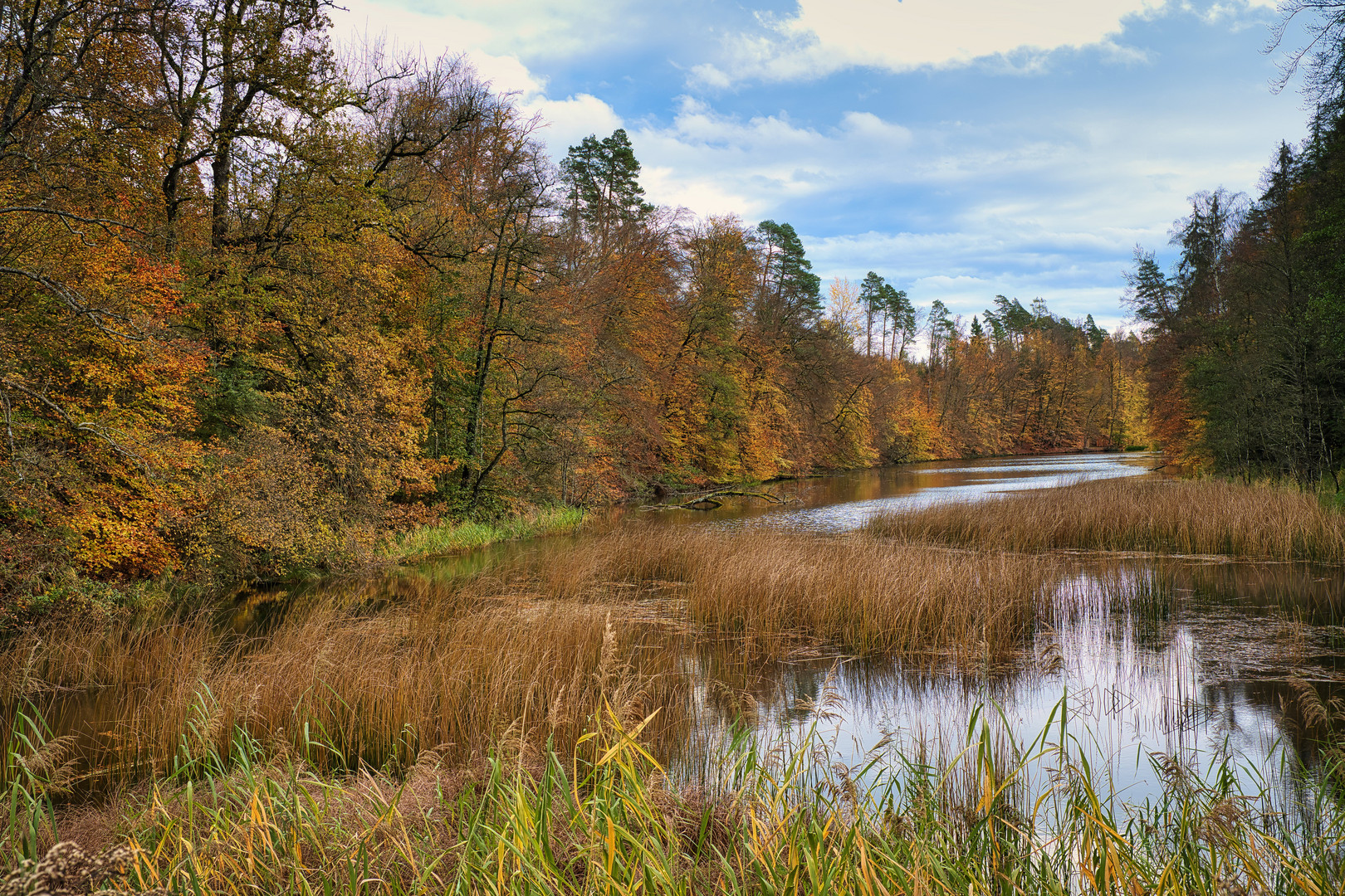 Weiher im Herbst