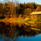 Weiher im Licht