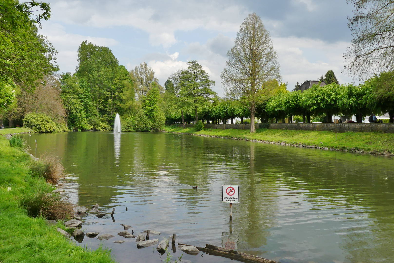 Weiher im Ludwig-Rehbock-Park / Leverkusen-Opladen ...