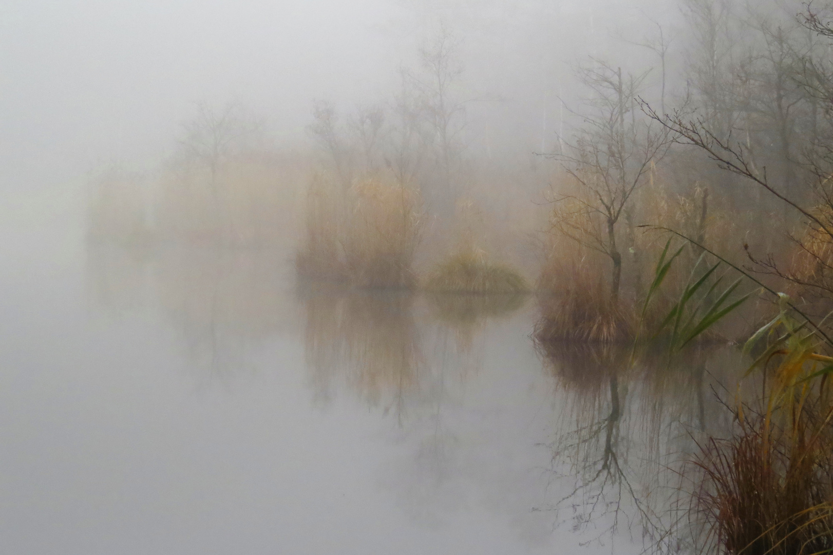 Weiher im Morgennebel am 11.12.15