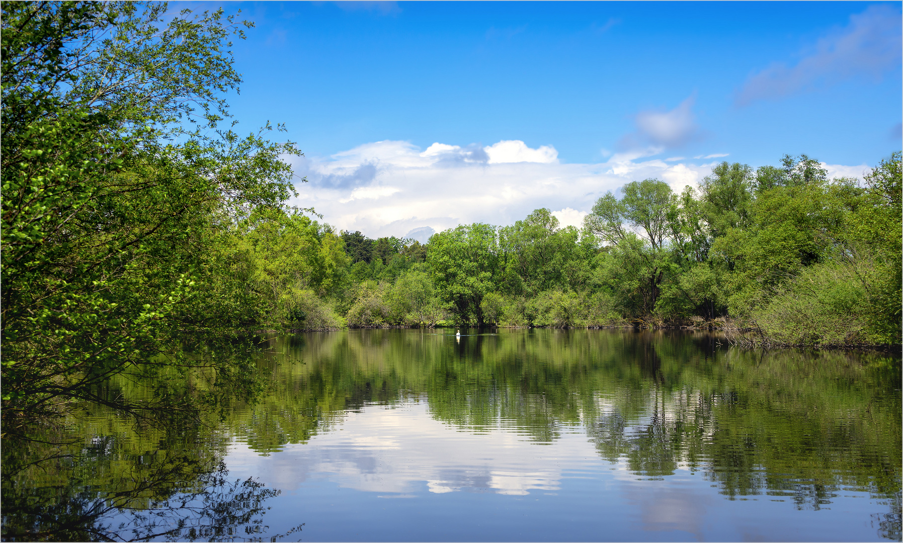 Weiher im Naturschutzgebiet Mönchbruch 