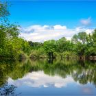 Weiher im Naturschutzgebiet Mönchbruch 