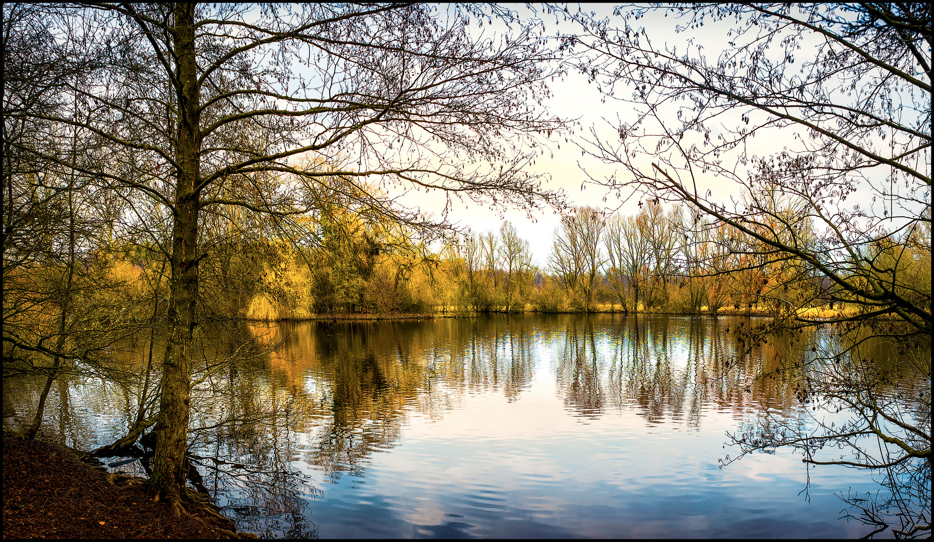 Weiher im Naturschutzgebiet Mönchbruch Januar 2018 Foto & Bild