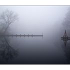 Weiher im Nebel