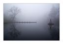 Weiher im Nebel von einsteinrosen 