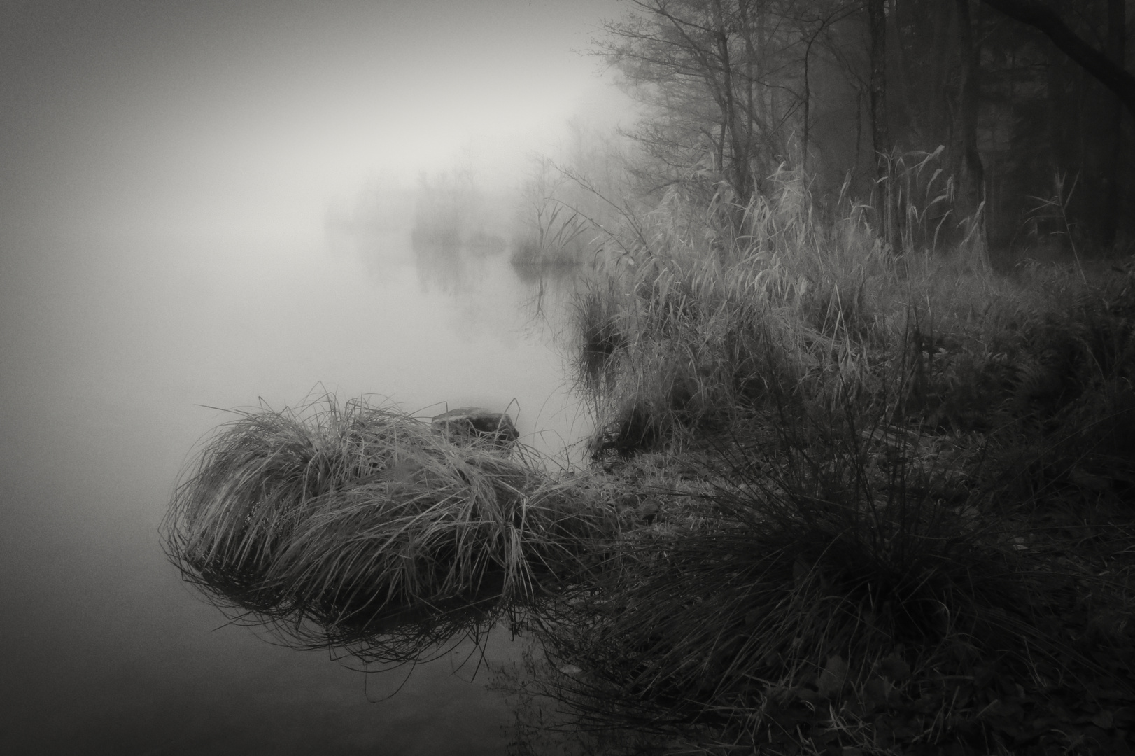 Weiher im Nebel am Morgen Dez. 2015