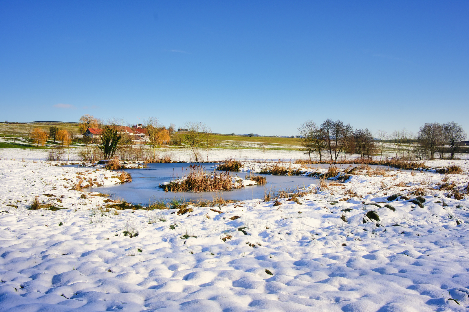 Weiher im Schnee