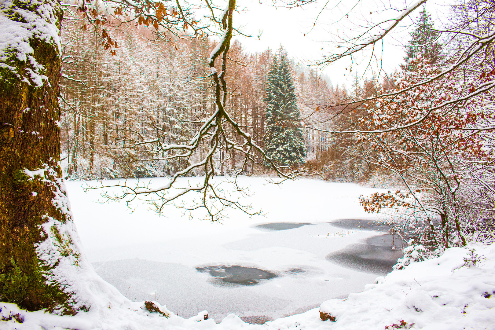 Weiher im Schnee versunken 