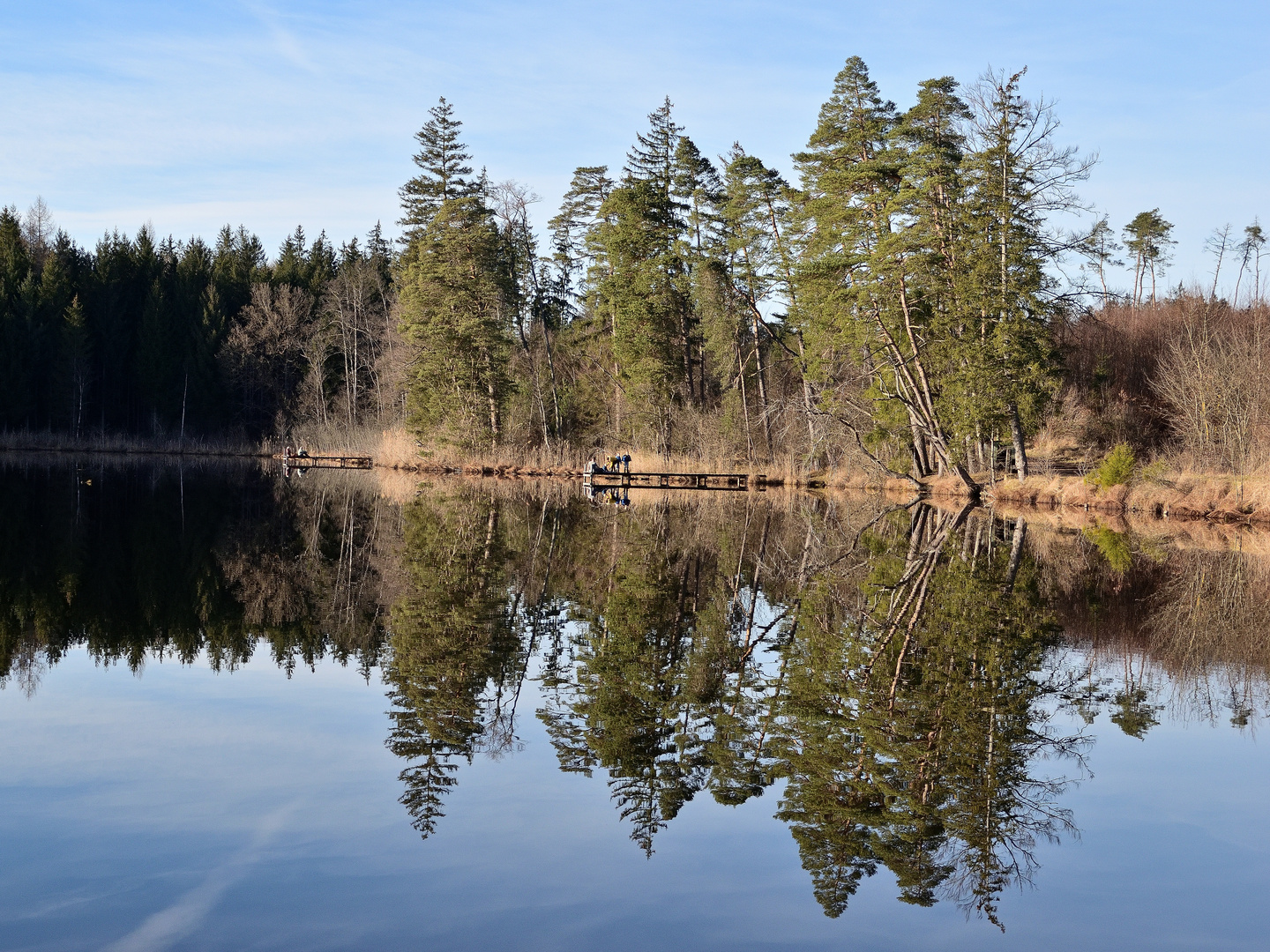 Weiher im Spiegel