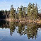 Weiher im Spiegel