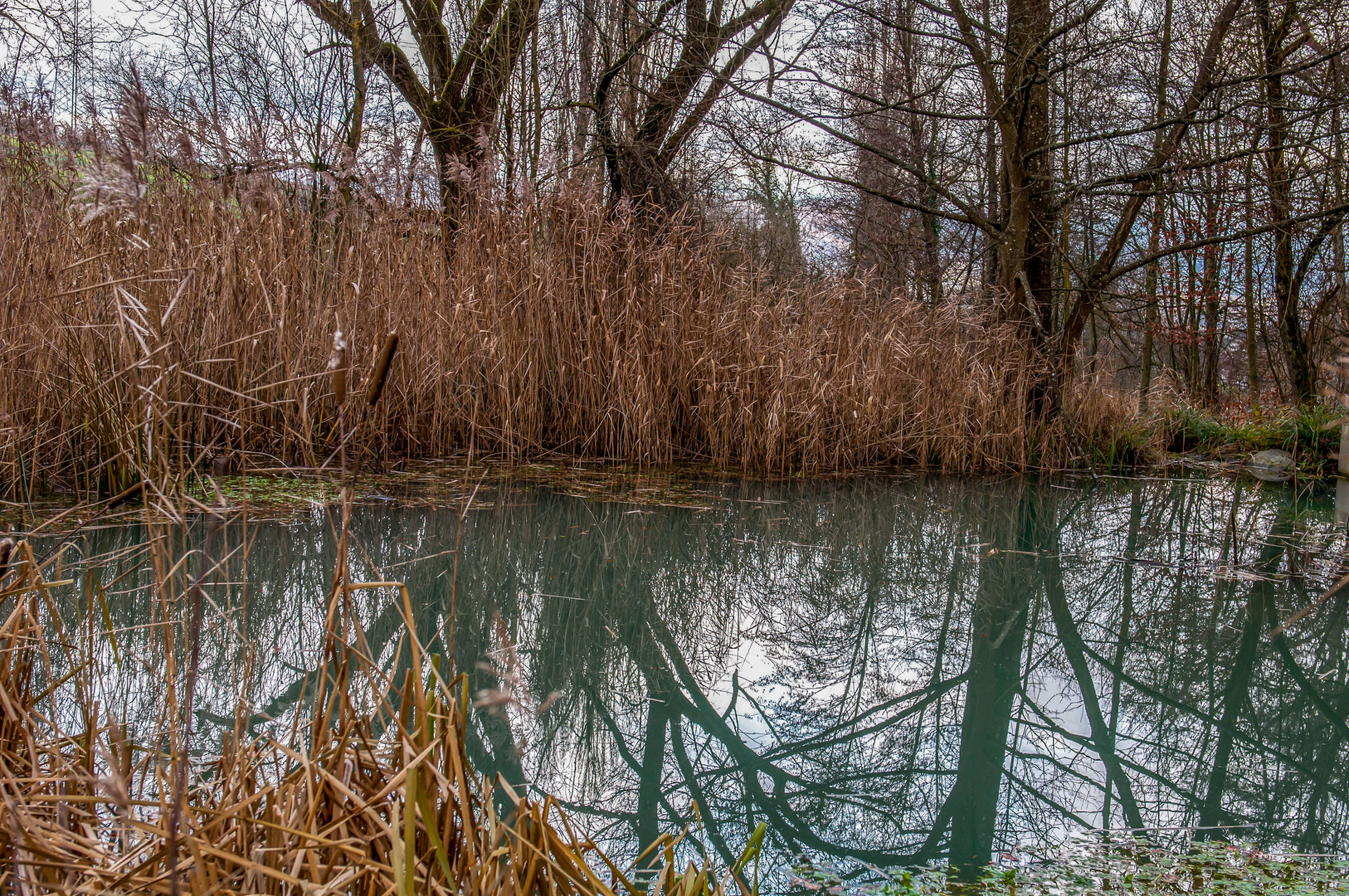 Weiher im Tal_B