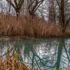 Weiher im Tal_B