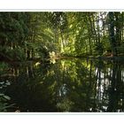 Weiher im Wald