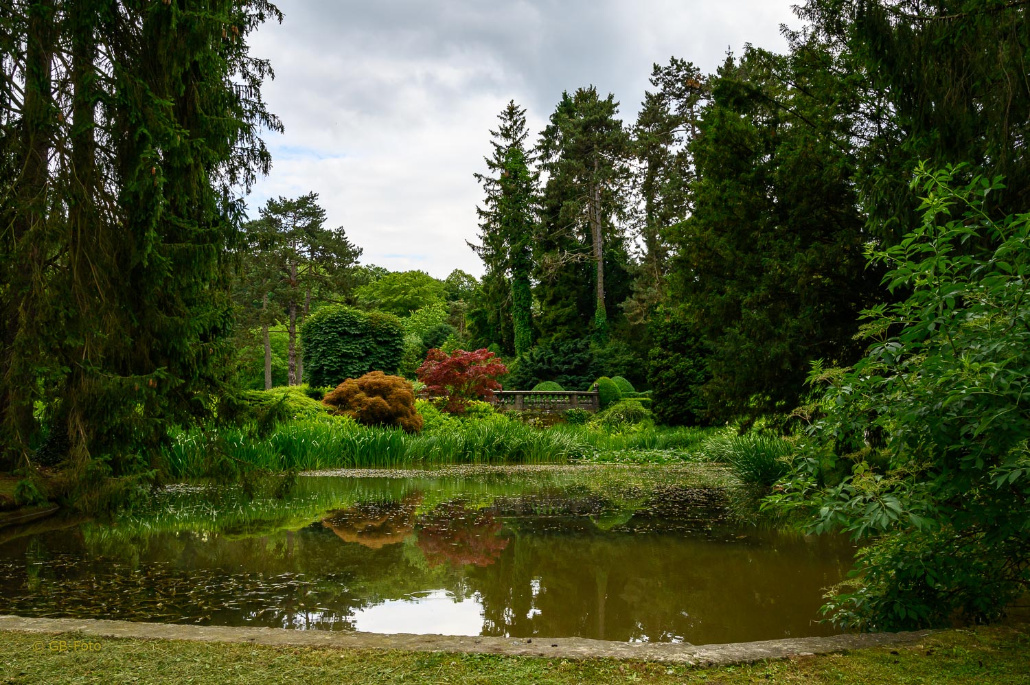 Weiher im Wenkenpark