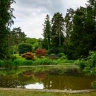 Weiher im Wenkenpark