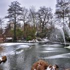 Weiher im Winter