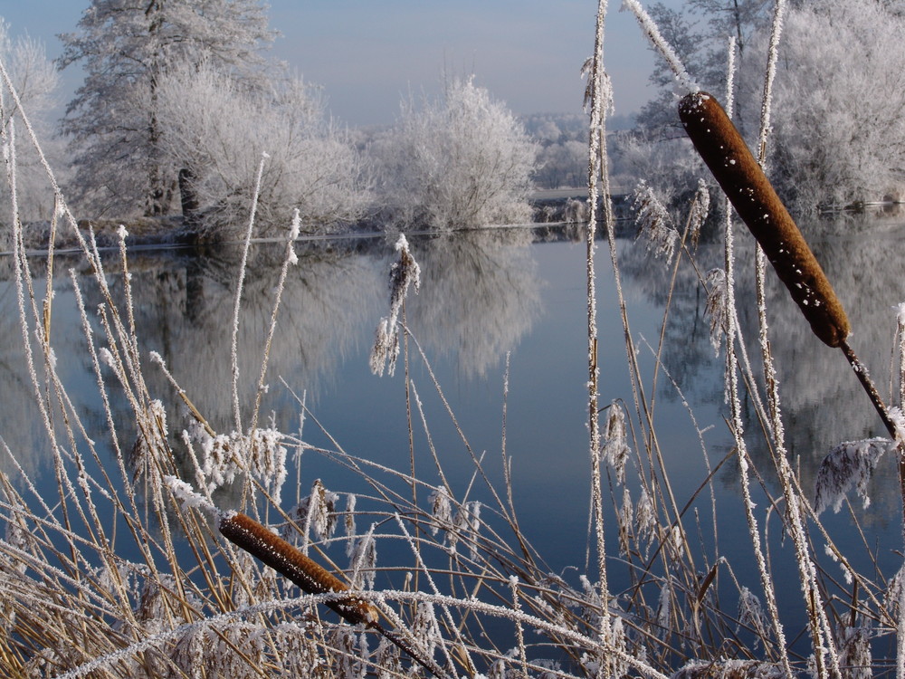 Weiher im Winter