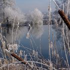 Weiher im Winter