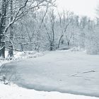 Weiher im Winter