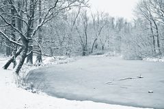 Weiher im Winter