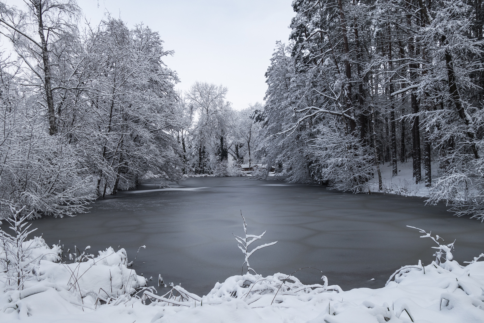 Weiher im Winterbett