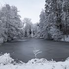 Weiher im Winterbett