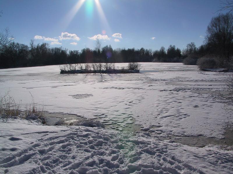 Weiher im Wintermantel