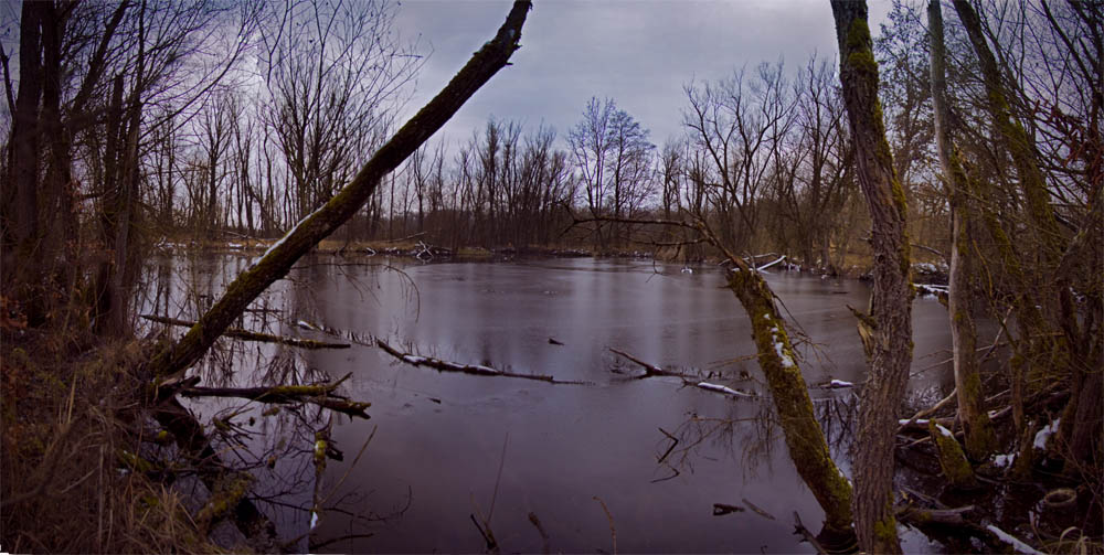 Weiher im Winterschlaf