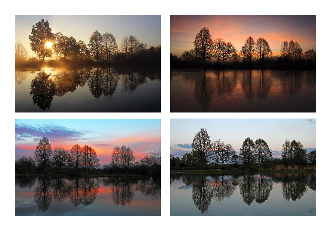 Weiher-Impressionen