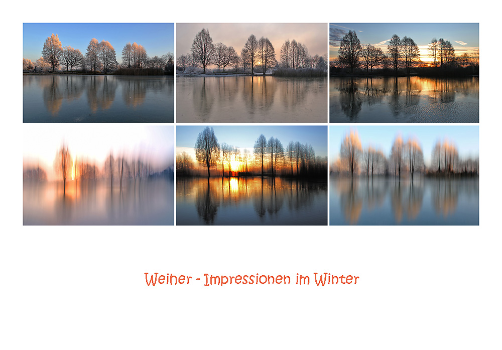 Weiher - Impressionen zur Winterzeit