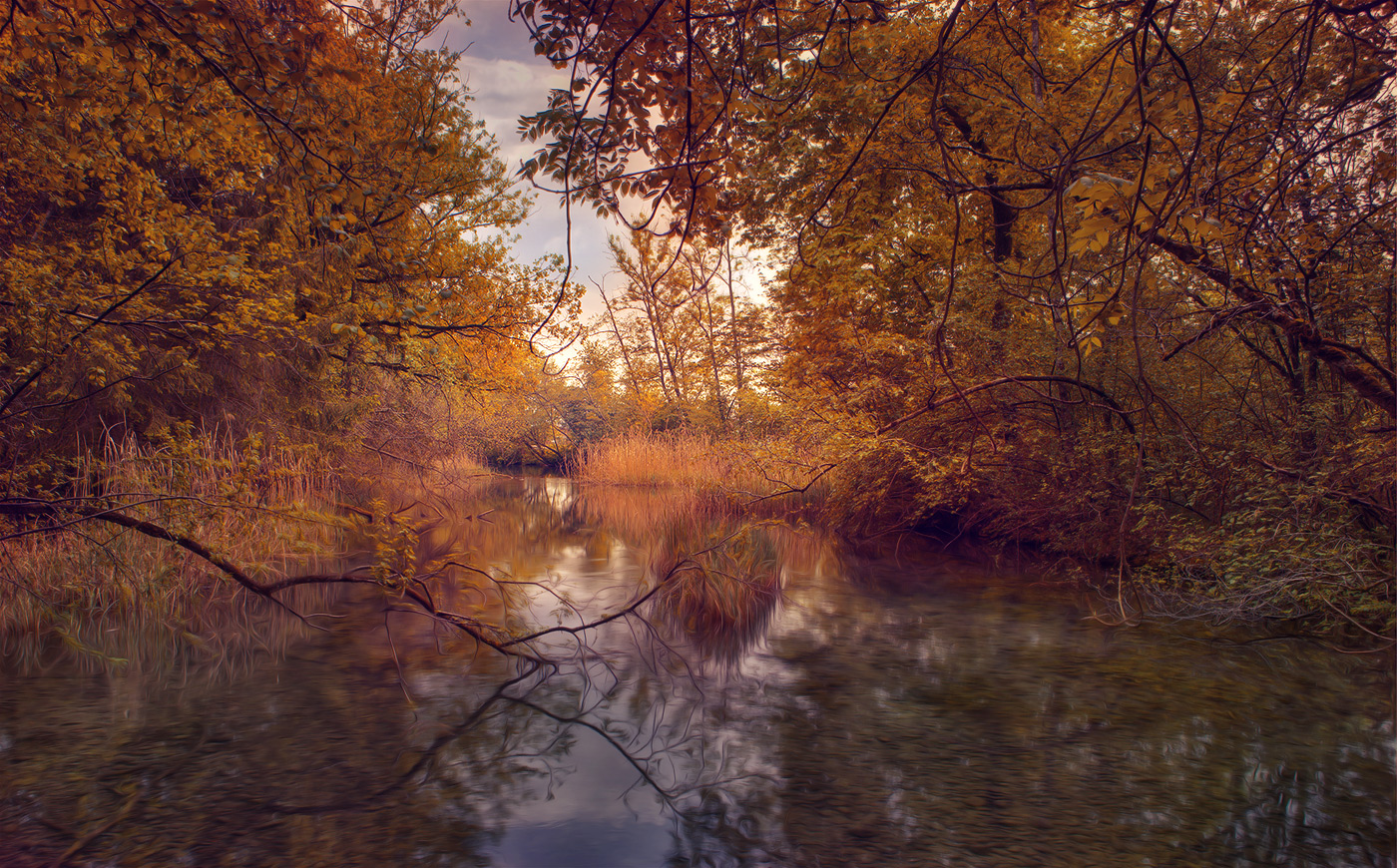 Weiher in Belp