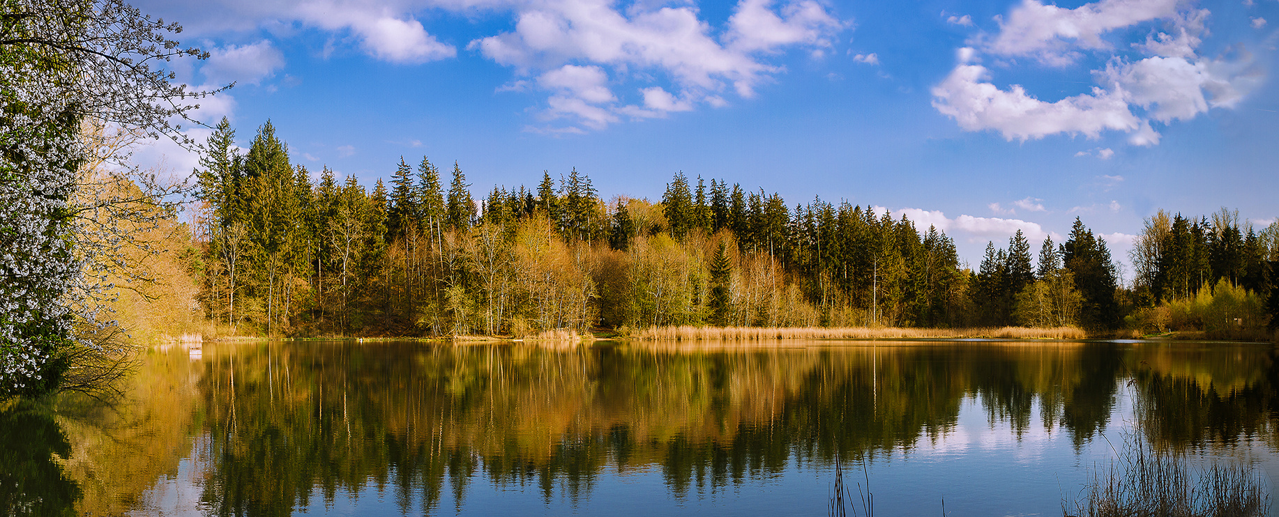 Weiher in Buxheim / Allgäu