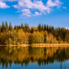 Weiher in Buxheim / Allgäu