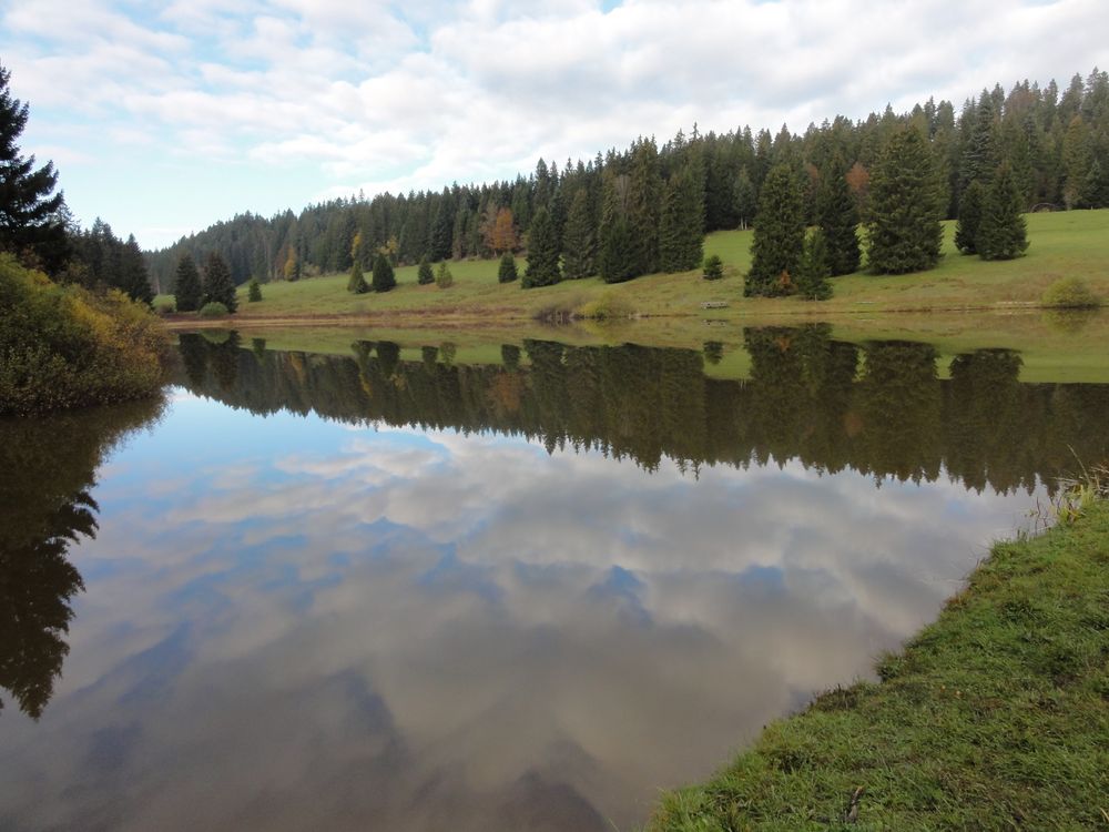 Weiher in den Freibergen. Kt. JU CH