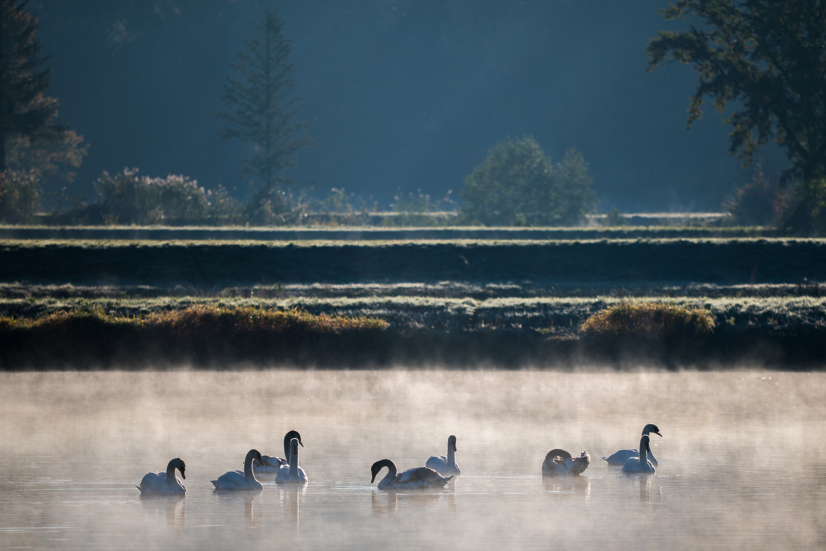 Weiher in Franken