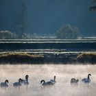 Weiher in Franken