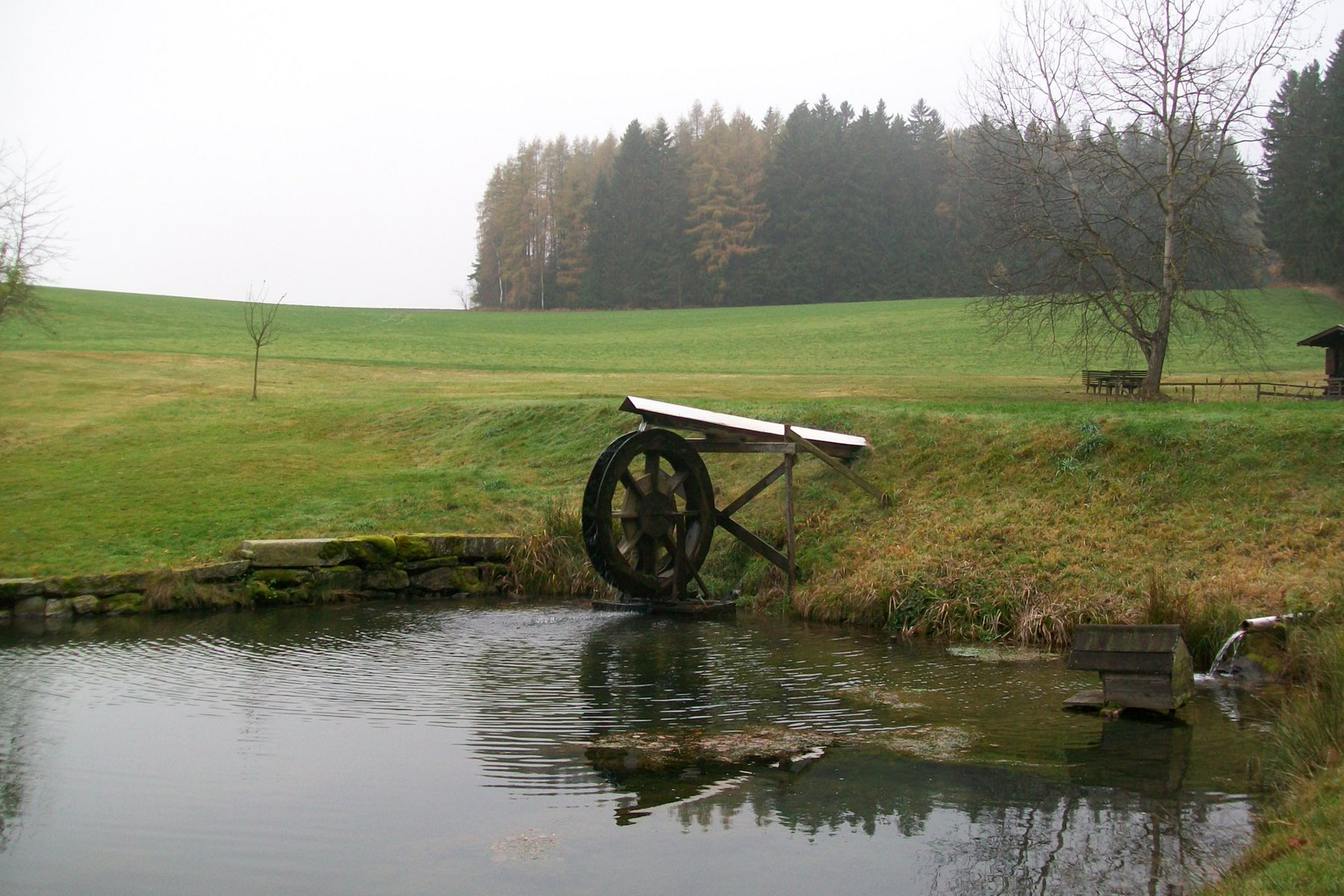 Weiher in Haid