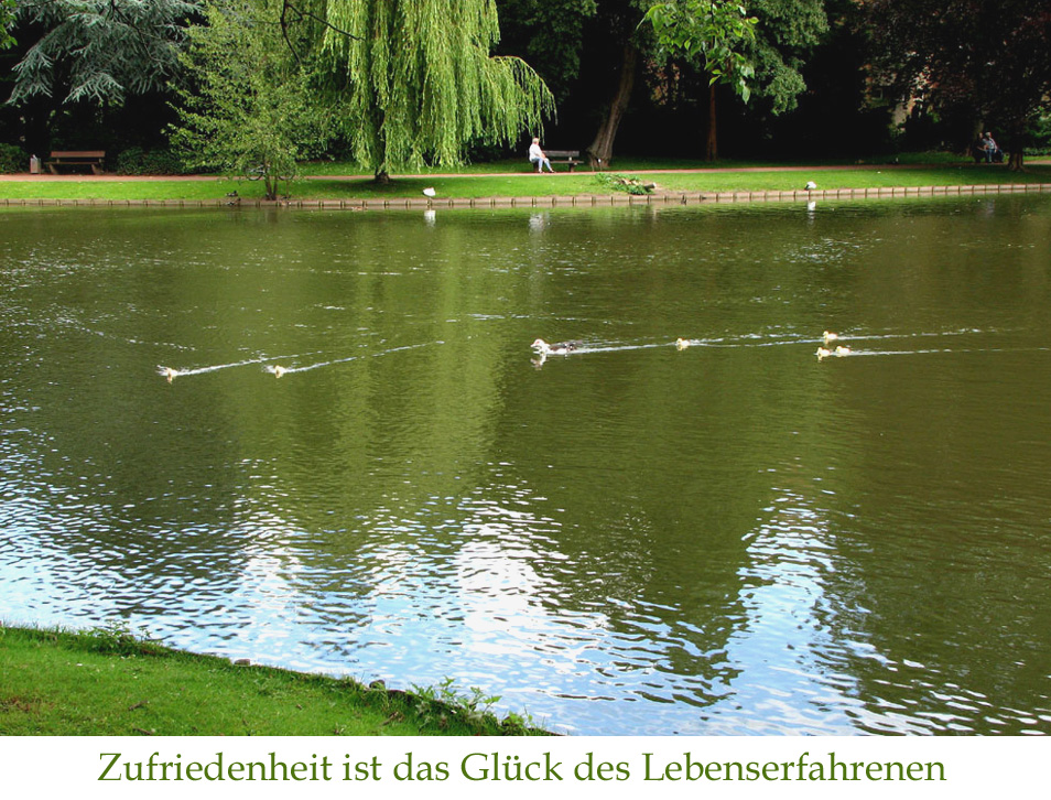 Weiher in MG-Odenkirchen