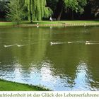 Weiher in MG-Odenkirchen