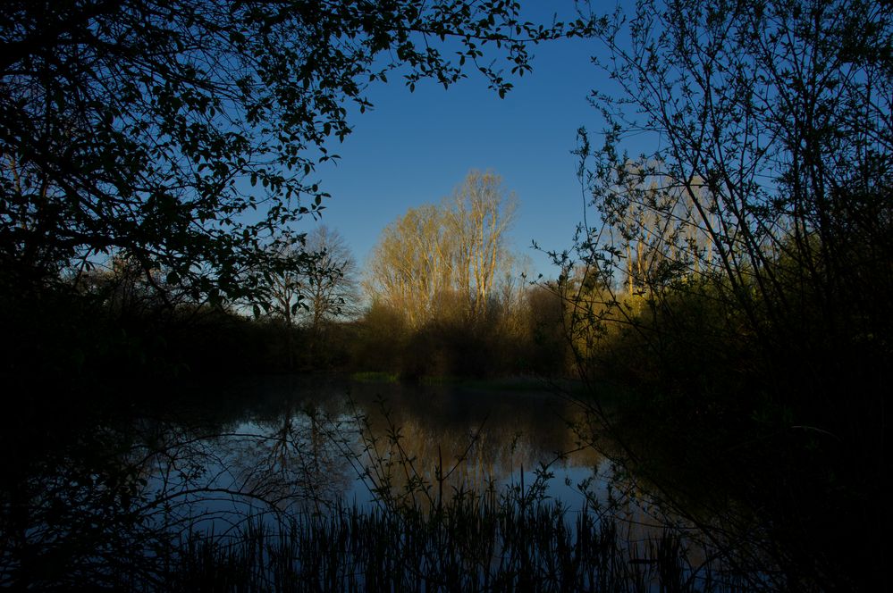 Weiher in Saulgau