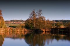 Weiher in Uhwiesen