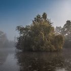 Weiher-Insel