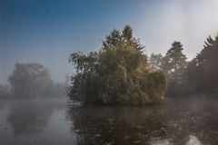 Weiher-Insel