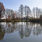 Weiher mit Bäumen und Spiegelung