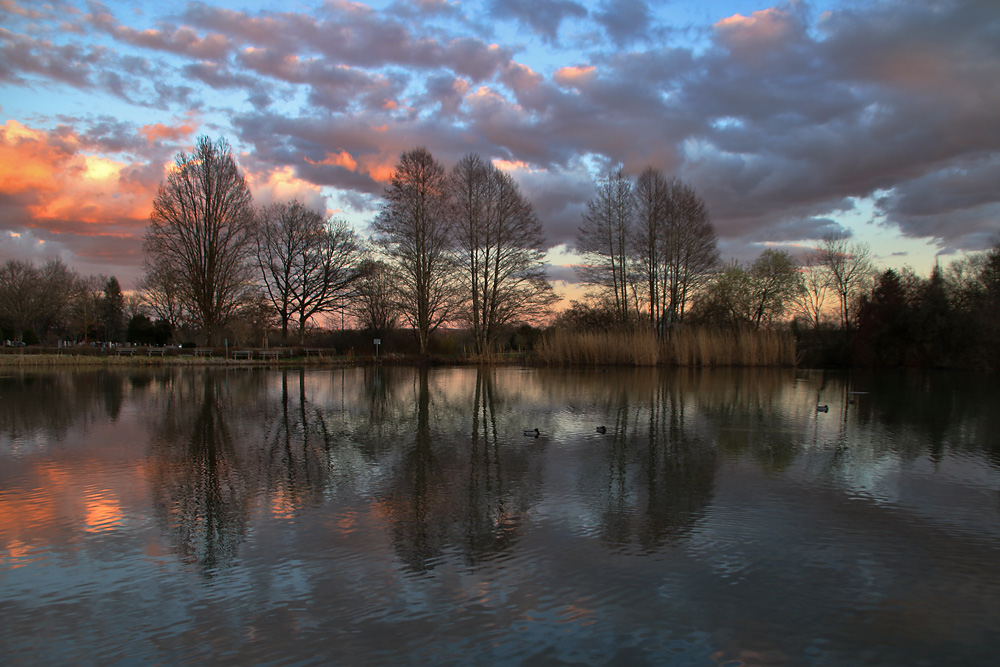 Weiher mit gespielten Bäumen nach Sonnenuntergang