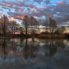 Weiher mit gespielten Bäumen nach Sonnenuntergang