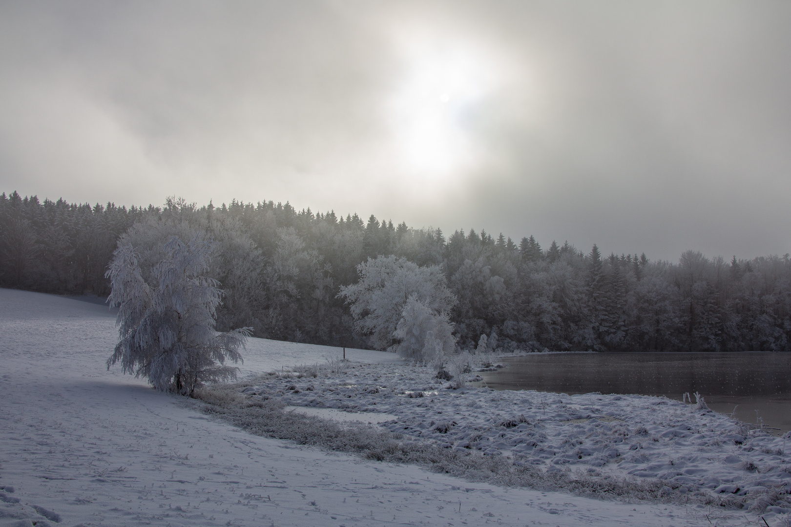 Weiher mit Rauhreif