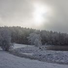 Weiher mit Rauhreif